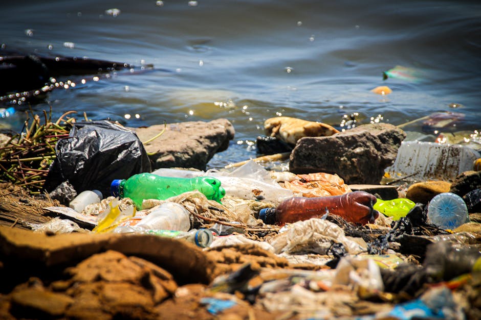 A close-up view of a shoreline scattered with a variety of environmental waste, including plastic bottles in green, brown, and clear colors, some partially crushed or distorted, lying among rocks and pebbles of different sizes and textures, with some rocks being smooth and rounded while others are jagged. The plastic waste is mixed with organic debris such as dried seaweed and small fragments of driftwood. The background features the water's edge with gentle waves and a slightly reflective surface, creating small sparkling highlights from the sunlight. The scene captures the impact of pollution on natural coastal environments, illustrating litter that accumulates along the shoreline, which could be a reflection of improper disposal methods or the need for private waste removal services, like those provided by Rubbish Removal Docklands, as part of an alternative approach to rubbish collection in sensitive areas.