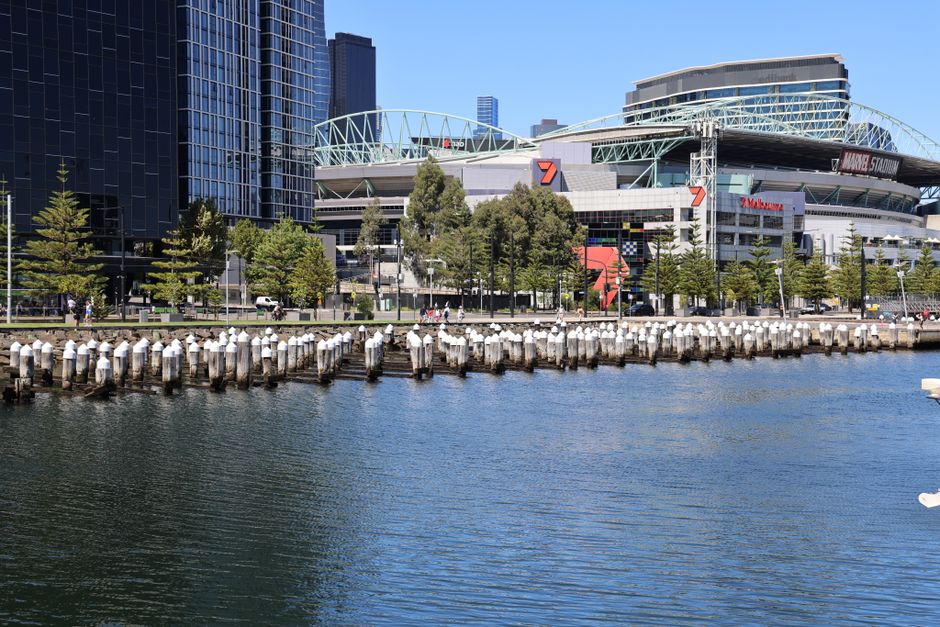 A waterfront scene in an urban setting featuring a row of weathered wooden posts with white foam caps along the edge of a waterway, possibly serving as a barrier or mooring points. Behind the posts, the water reflects the surrounding environment with gentle ripples. In the background, there is a modern, multi-story building with a distinctive architectural design, incorporating glass and metal finishes, alongside a prominent arena or stadium structure with a curved, lattice-like roof supported by visible steel beams. The area around the building includes a landscaped promenade with evenly spaced small trees, a paved walkway, and a few pedestrians. The sky is clear and blue, and the overall scene presents a clean, well-maintained environment typical of a central commercial or entertainment district in a city like Docklands. This image highlights an example of private waterfront infrastructure that might require rubbish removal or maintenance to preserve aesthetic quality, as offered by Rubbish Removal Docklands.