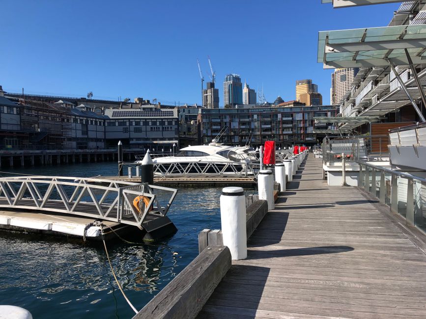 A waterfront scene at a modern marina showcasing several white motor yachts docked along wooden piers. The boats have sleek, streamlined designs with polished finishes, and some feature red covers over certain areas, possibly protective covers on seating or equipment. The dock is lined with white bollards and black mooring posts, with white plastic caps on top, and is bordered by a metal and wooden railing on the right side that extends alongside a glass-fronted building with balconies. In the background, a city skyline with tall skyscrapers and construction cranes under a clear blue sky is visible, indicating ongoing development. The scene is illuminated by bright daylight, casting distinct shadows on the wooden planks of the pier, creating a crisp and professional setting that subtly aligns with private or alternative waste handling scenarios in urban waterfront environments, as seen in rubbish removal or on-site clearance contexts by companies like Rubbish Removal Docklands.
